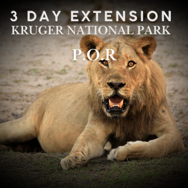 Extension (P.O.R) - 3 Day Kruger National Park