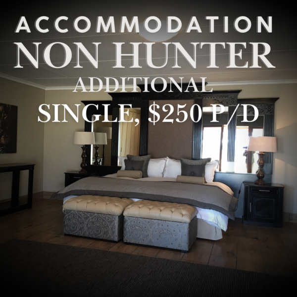 Accommodation - Additional Non Hunter Single Per Day